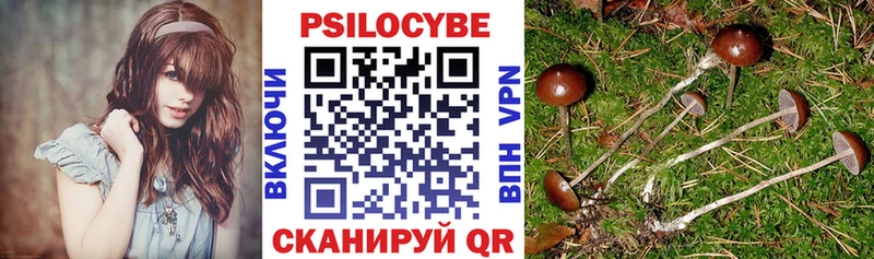 Галлюциногенные грибы прущие грибы  Купить  Волгореченск 